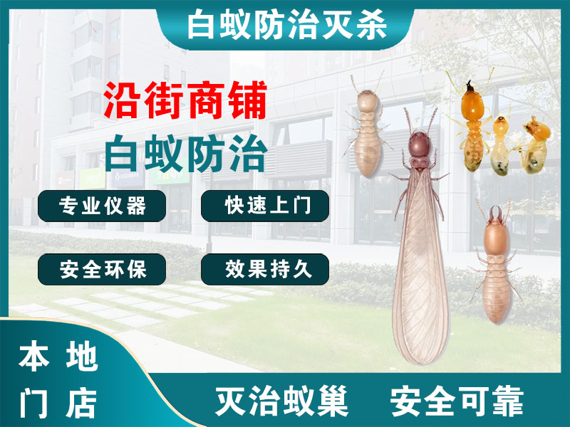 灌南沿街商铺白蚁防治