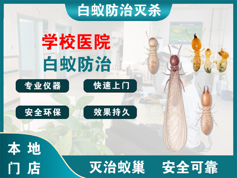 灌南学校医院白蚁防治