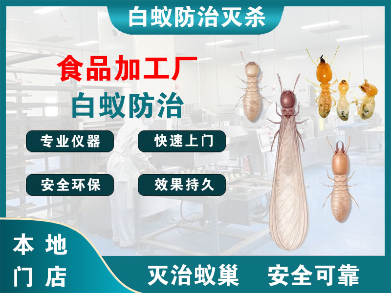灌南食品加工厂白蚁防治