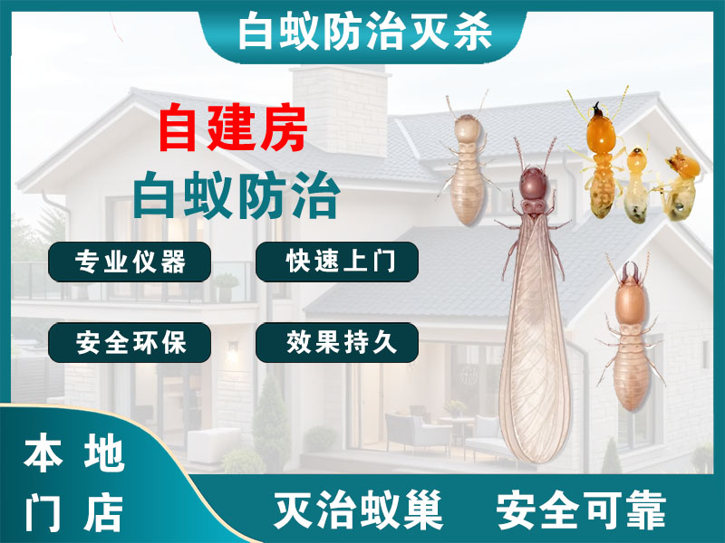 灌南自建房白蚁防治