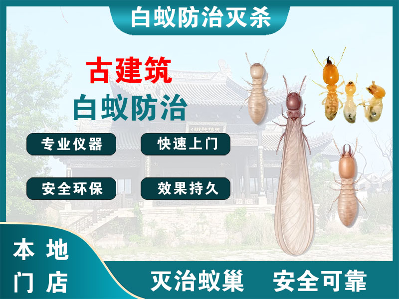 灌南古建筑白蚁防治
