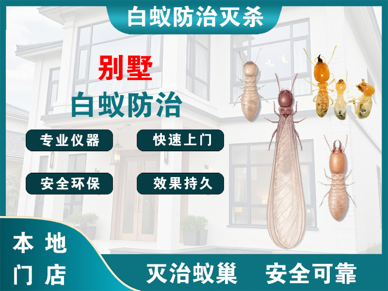 灌南别墅白蚁防治
