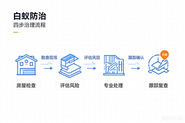 1784950025660145.jpg 白蚁防治图片生成 (17).jpg